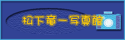 ��������ʐ^��